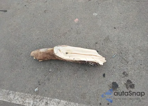 2022 Honda Accord Sport Special Edition z USA, uszkodzony, nr VIN 1HGCV1F49NA111793